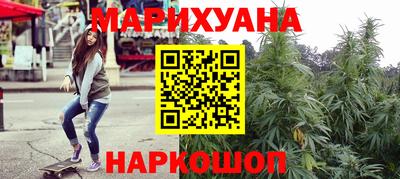 гидра Будённовск