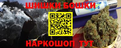 гидра Будённовск