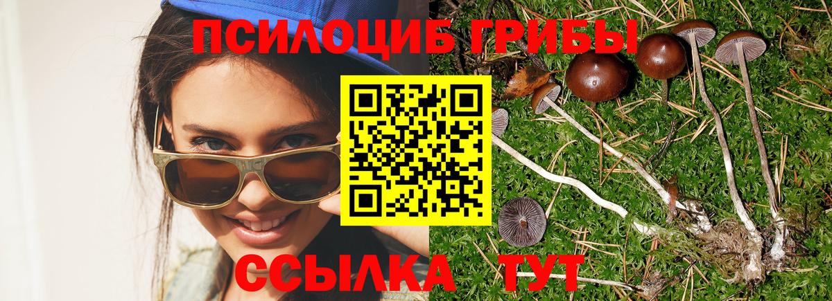 Псилоцибиновые грибы MAGIC MUSHROOMS  Вход с VPN  Тавда 