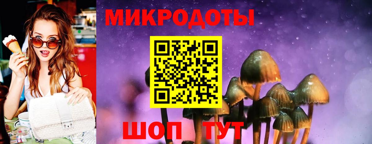 Галлюциногенные грибы Psilocybe Тавда